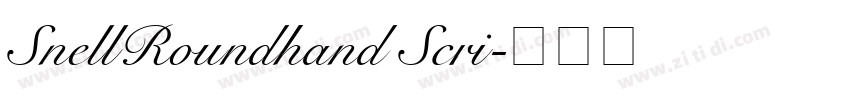 SnellRoundhand Scri字体转换